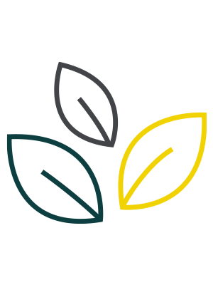 Design Clubs